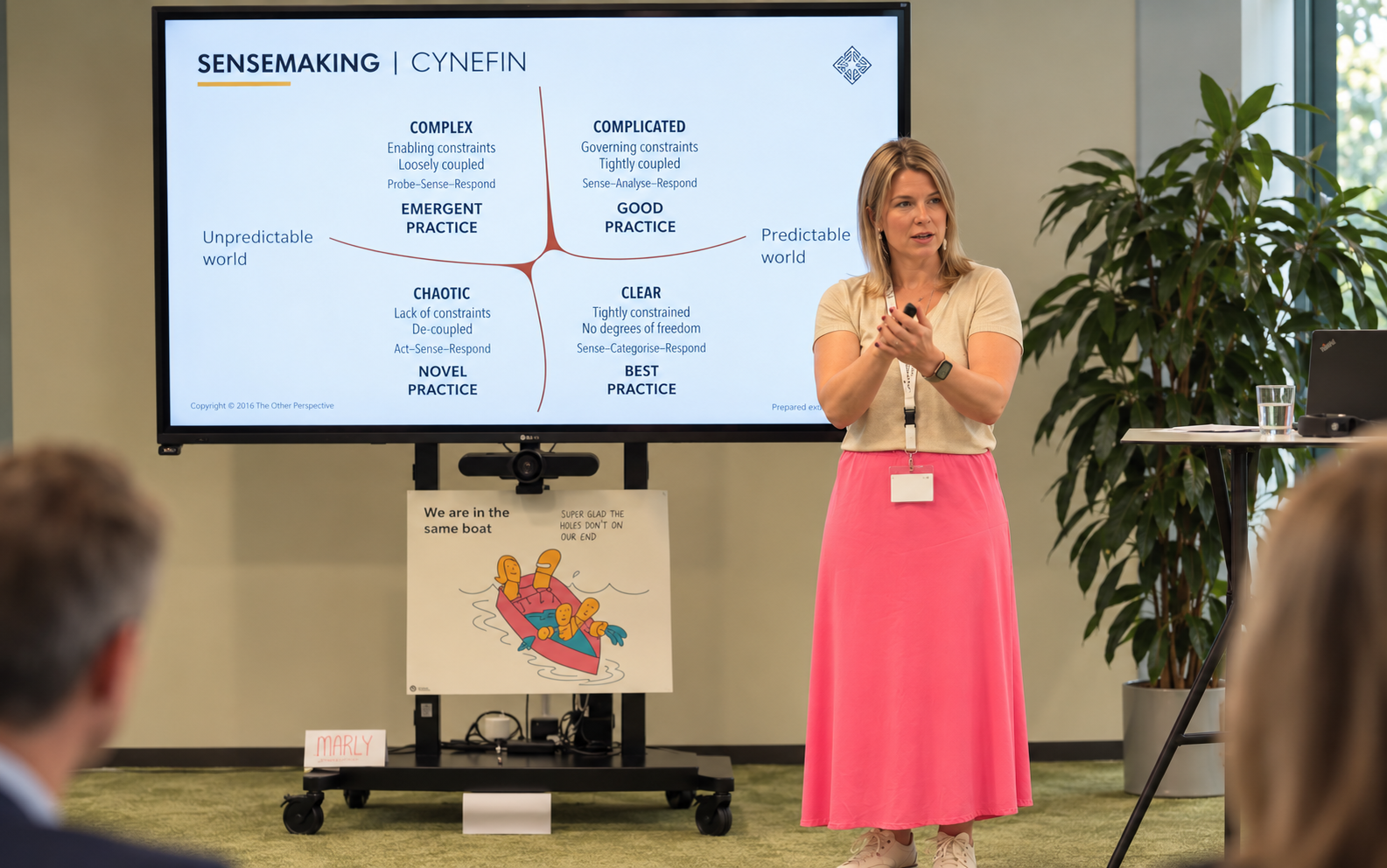 Sensemaking met Cynefin